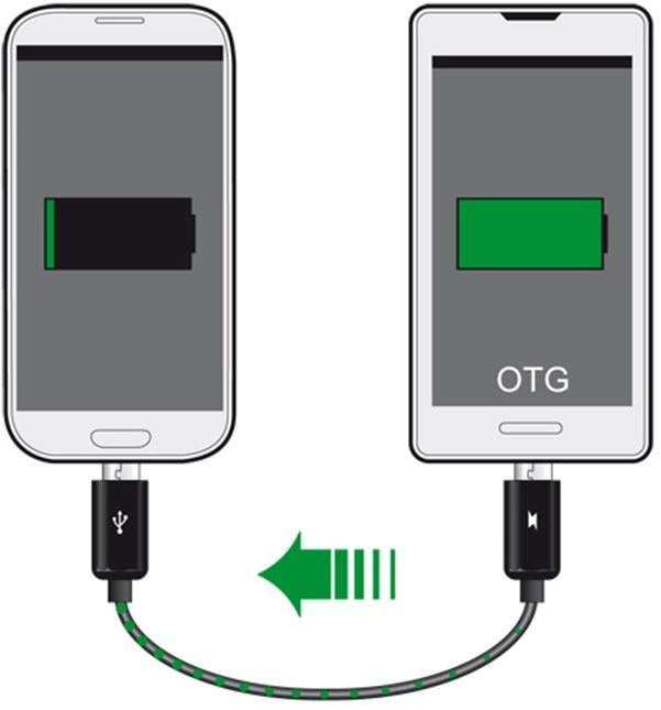 DeLock Power Sharing Cable Micro USB OTG, 30cm